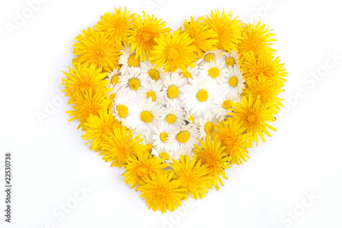 Fototapeta Naklejka Na Ścianę i Meble -  Blumenherz