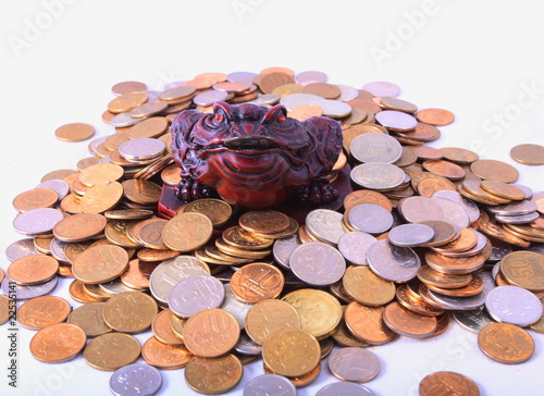 frog with coins