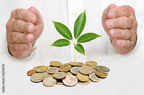 Hands protecting tree growing from pile of coins photo