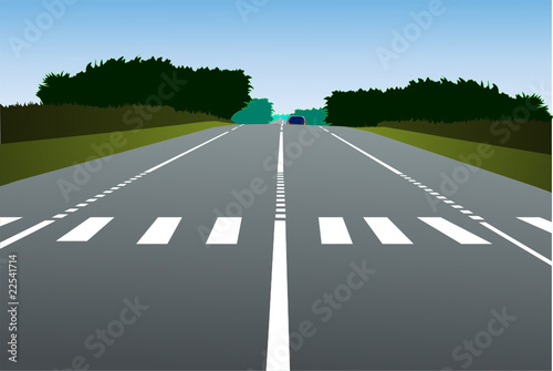 Illustration of a country road with zebra