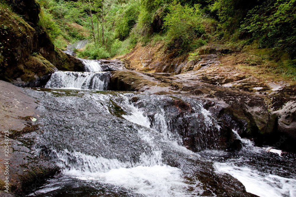 Fototapeta premium Sweet Creek Falls