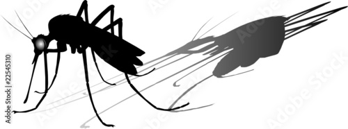 mosquito vector silhouette