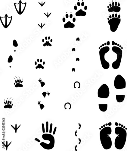 animal and human footprints set