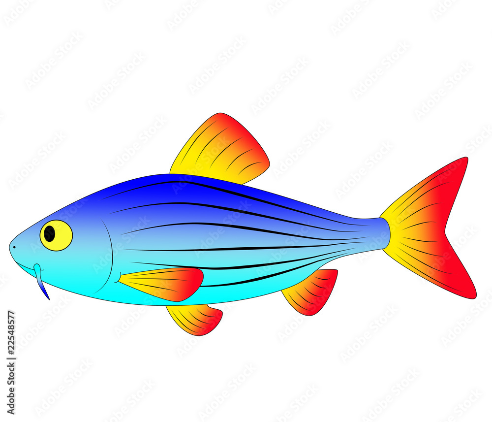 toy fish toy fish
