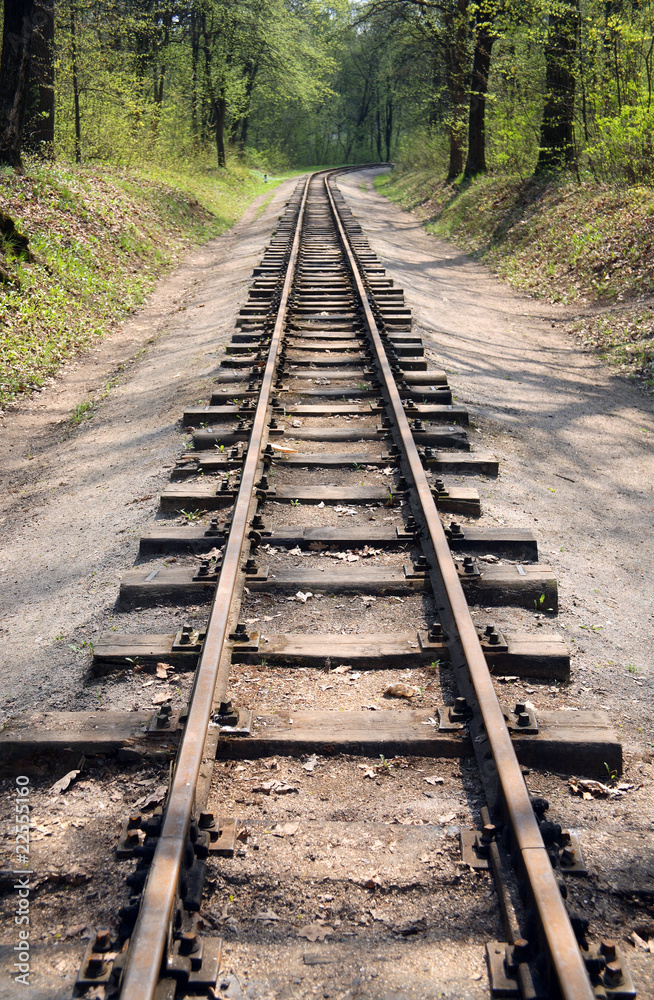 empty railway in the forest