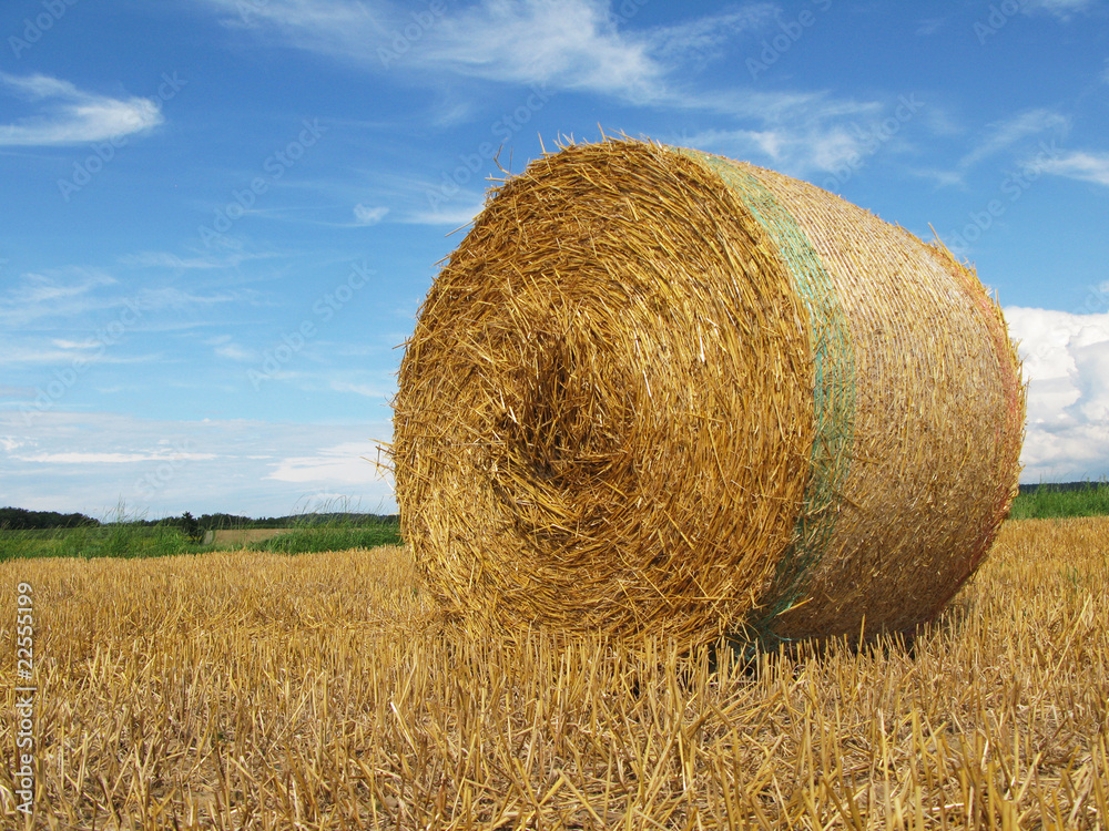 Bale of straw on a field in Switzerland Bale of straw on a field in Switzerland