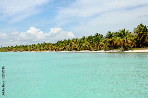 Palmenstrand in der Karibik © Tilo Grellmann