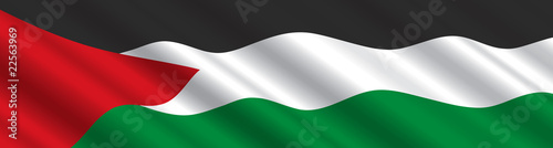 Palestinian Territories Flag in the Wind
