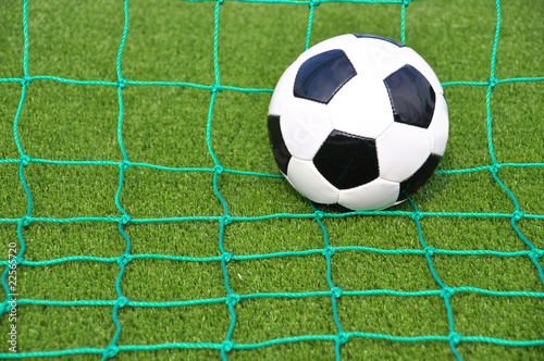 Soccer ball in the goal net © pincasso