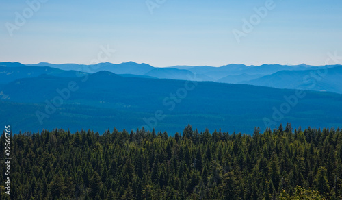 Wallpaper Mural Scenic view of mountains with forest in foreground Torontodigital.ca