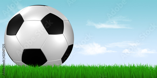 soccer ball in grass with blue sky