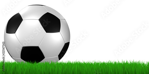 soccer ball in grass -with  clipping path