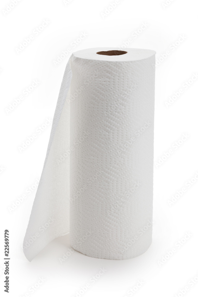 White paper towel roll