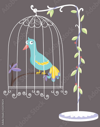 bird in a cage