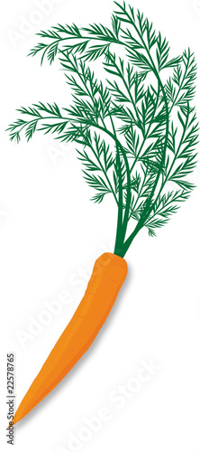 carrot