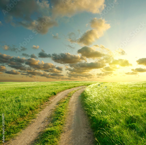 Fototapeta Naklejka Na Ścianę i Meble -  Summer landscape with green grass, road and clouds