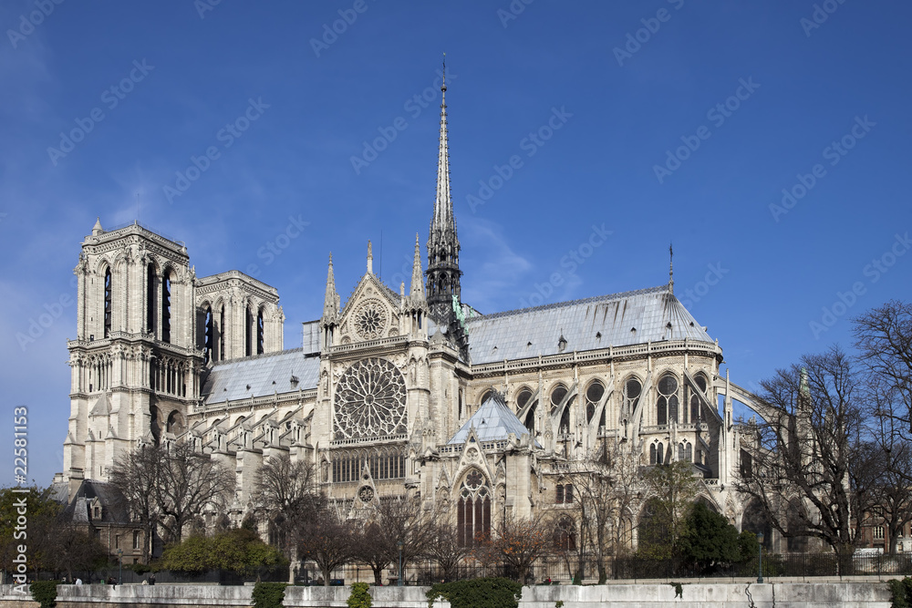 Obraz premium Notre Dame Paris
