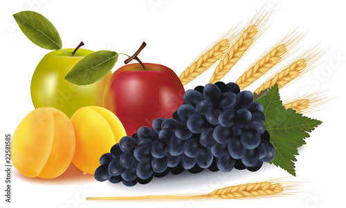 Vector illustration. Group of fruit and some ears of wheat.