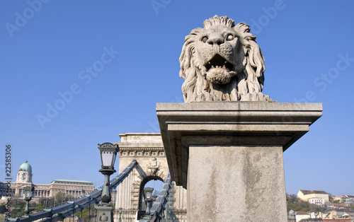 Chain bridge in Budapest with lion sculptures