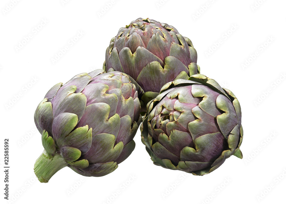 Fototapeta premium Artischocken
