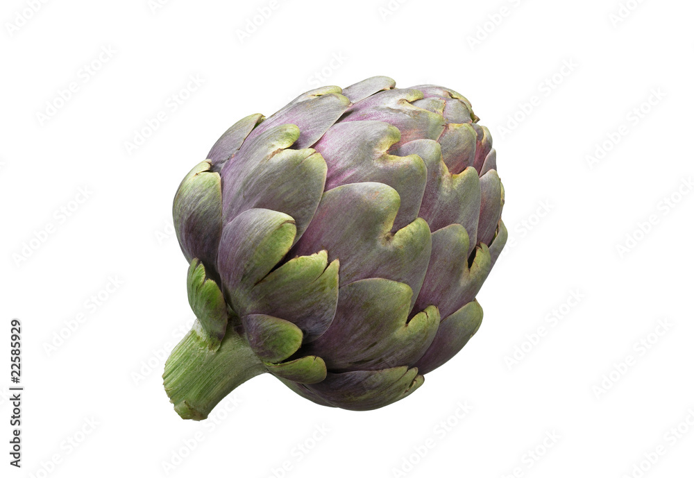 Obraz premium Artischocke
