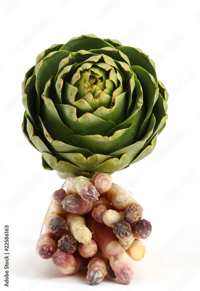 Obraz premium asperges et artichaut