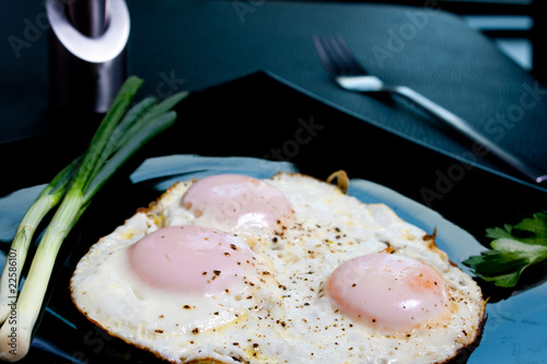 Eggs photo