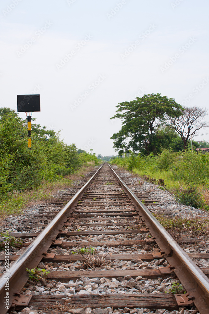 Naklejka premium railway sidewalk and the tree