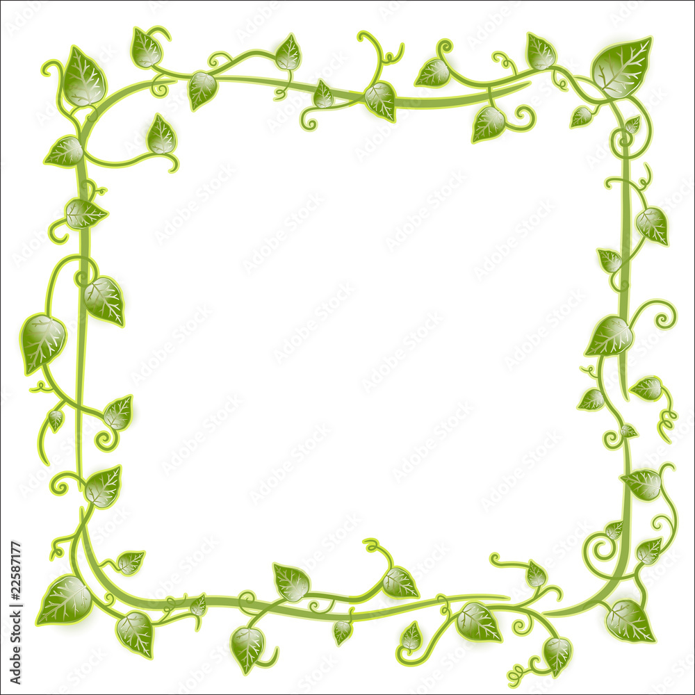 Floral leaf classic frame