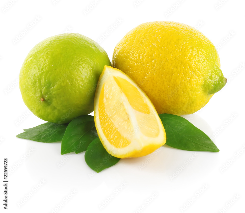Limes with section