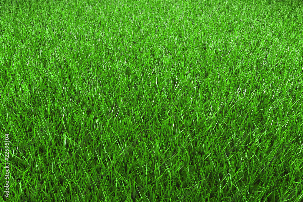 Fußballrasen Vignette 2 Fußballrasen Vignette 2