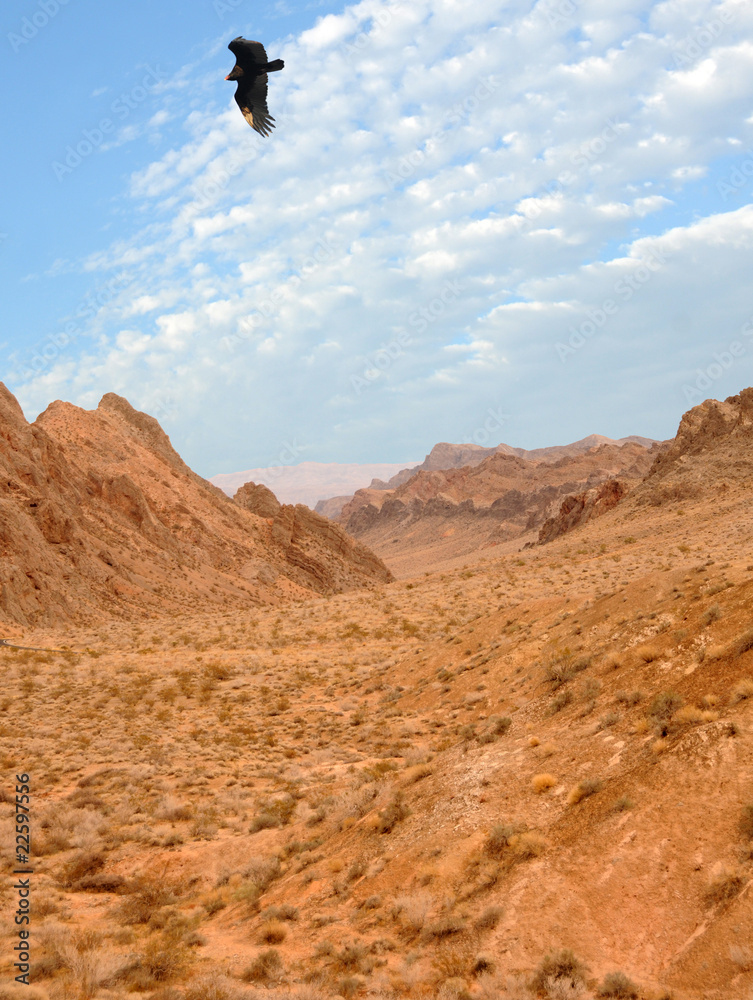 Fototapeta premium Rocky desert