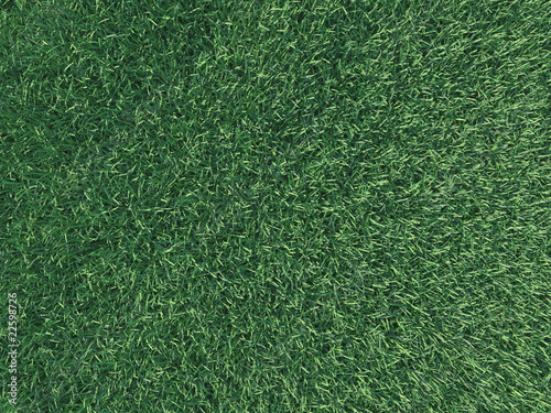 grass texture 3d cg photo