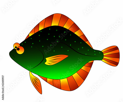Valokuva flounder