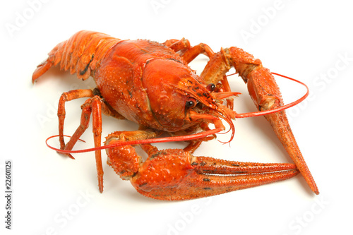 Boiled crawfish