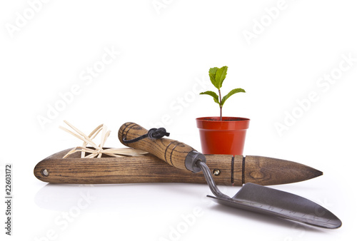 Gardening tools and plant pot over white background photo