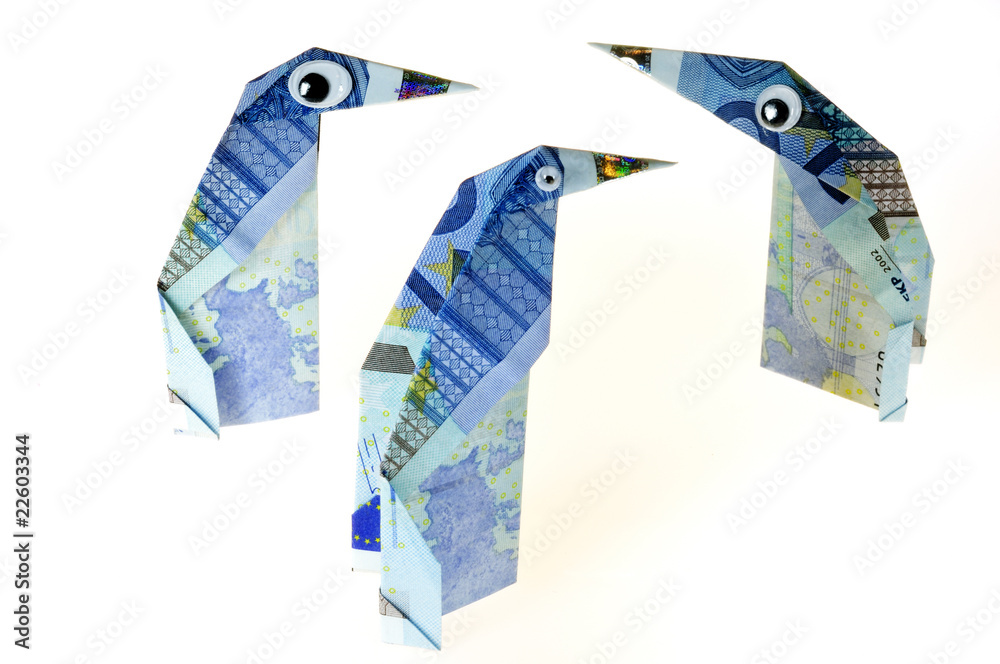 pinguin StockFoto Adobe Stock