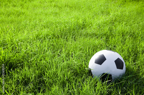 football or soccer ball on the green grass field