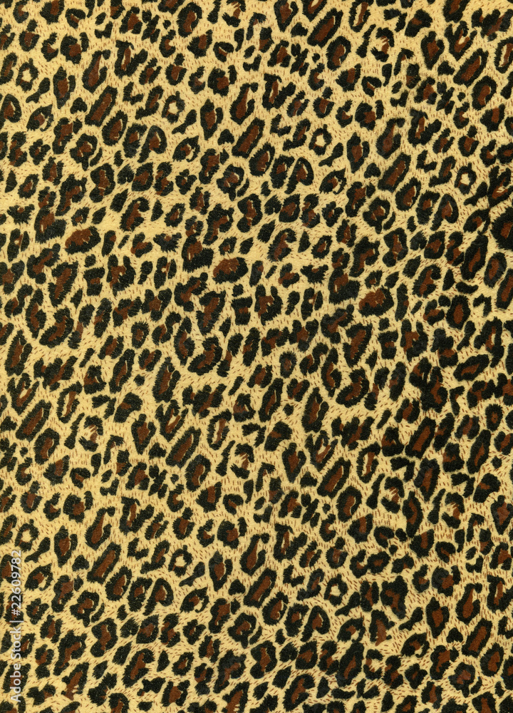 Leopard texture Leopard texture