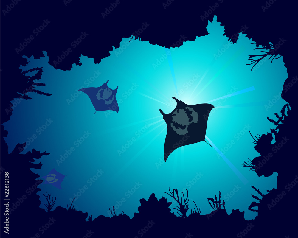 Fototapeta premium Background of a coral reef with manta ray