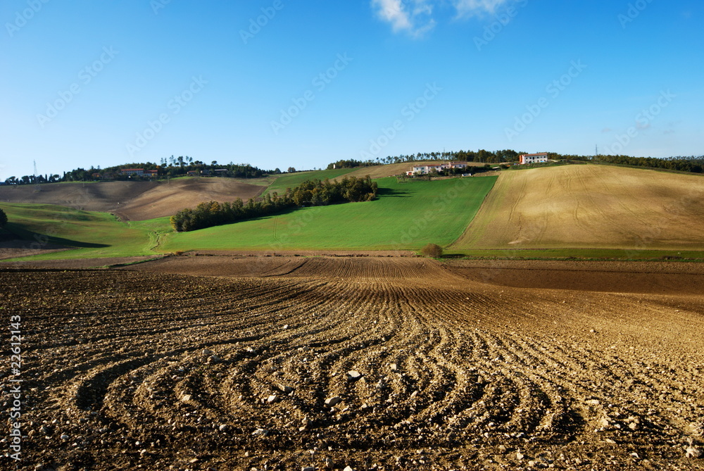 Lines in plowed fields