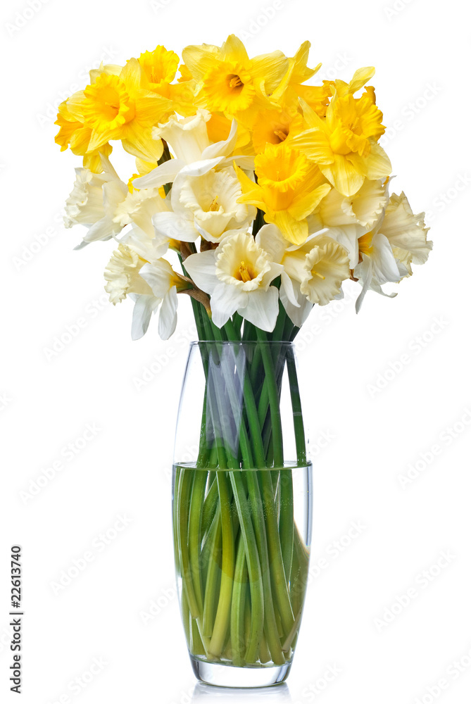 bouquet from white and yellow narcissus in vase isolated - obrazy, fototapety, plakaty 