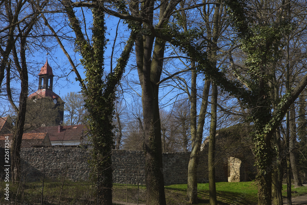 Naklejka premium Moryn1