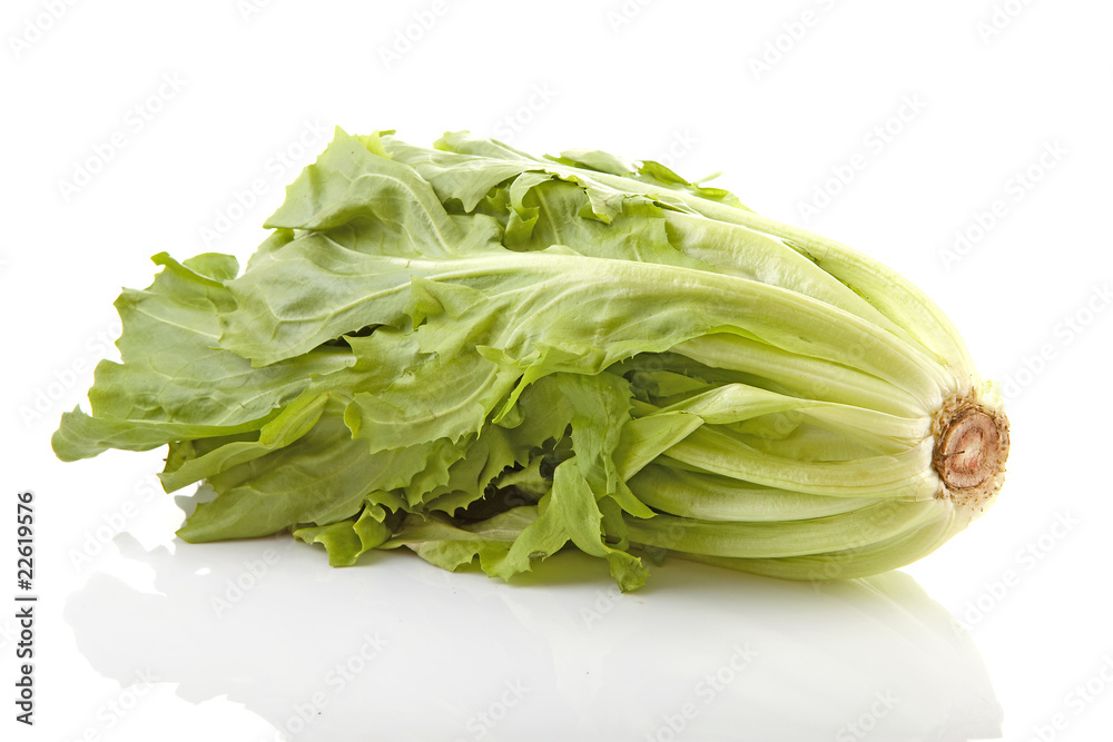 crop of fresh endive over white background crop of fresh endive over white background