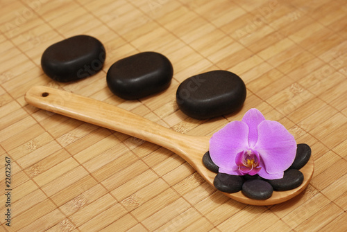 spoon with stones and the orchid