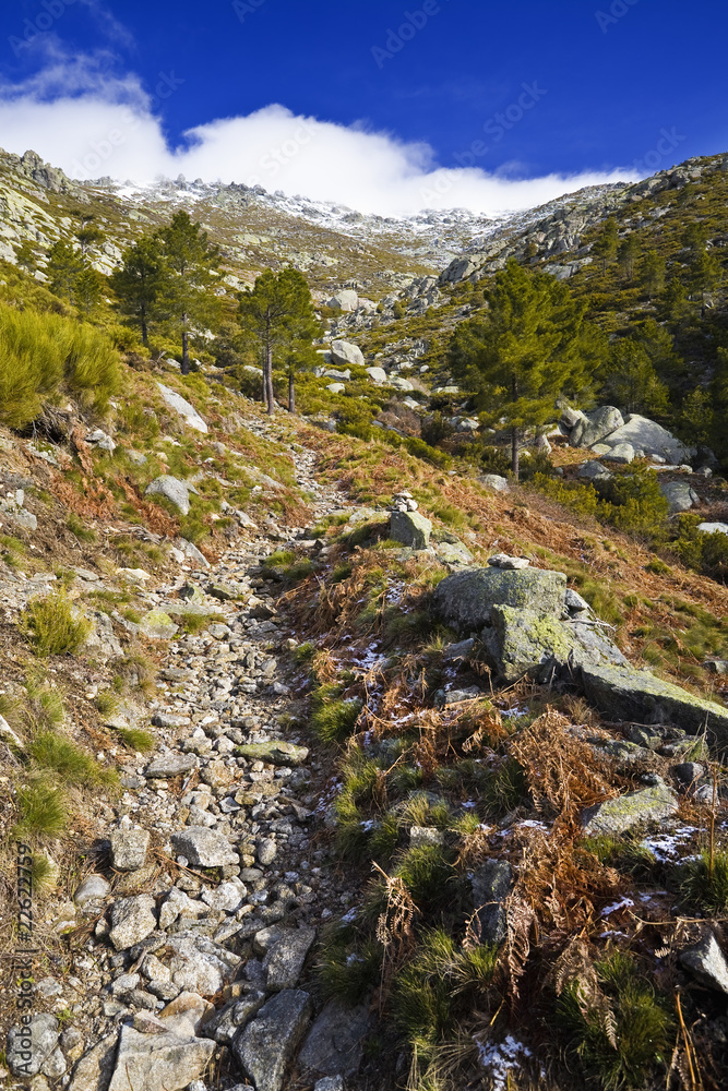 Camino del Puerto del Peón. Sierra de Gredos