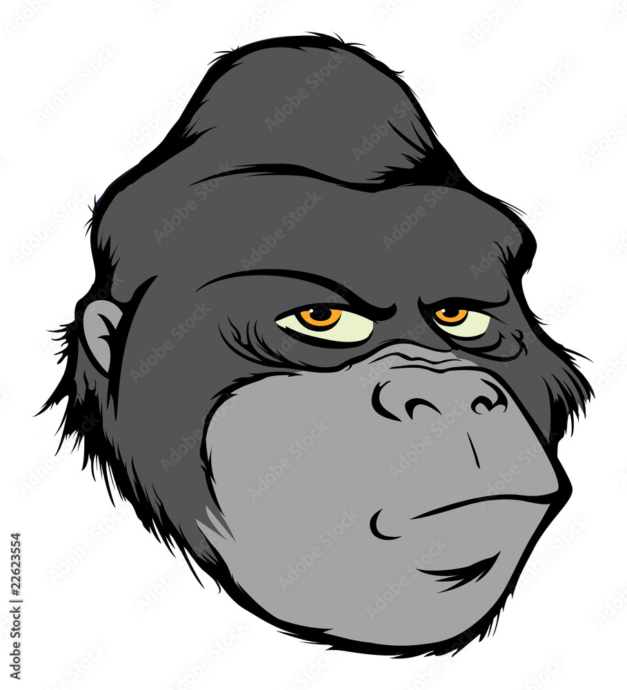 Obraz premium gorilla head