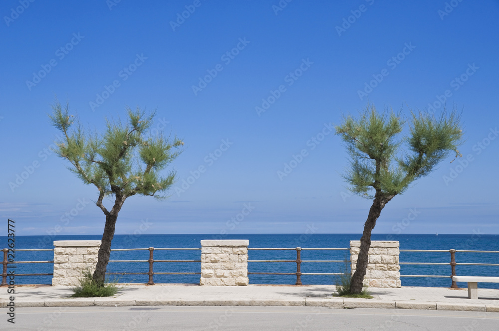 Giovinazzo seafront. Apulia.