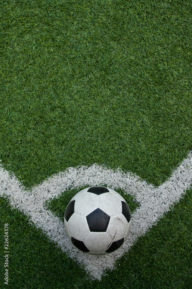 Fake grass soccer field Fake grass soccer field