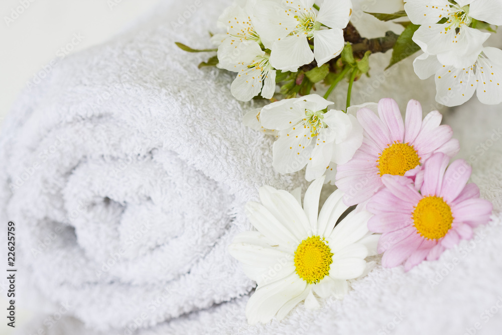 spa, concepto spa, concepto